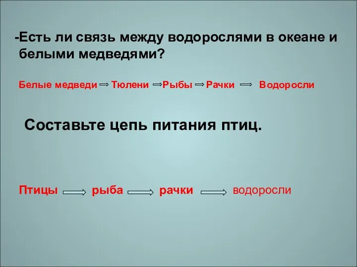 Есть ли связь между водорослями в океане и белыми медведями?