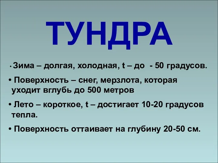 ТУНДРА Зима – долгая, холодная, t – до - 50