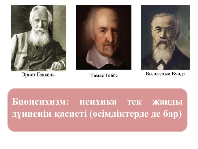 Биопсихизм: психика тек жанды дүниенің қасиеті (өсімдіктерде де бар) Томас Гоббс Вильгельм Вундт