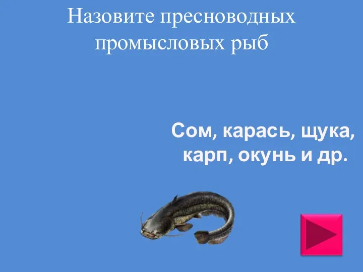 Назовите пресноводных промысловых рыб Сом, карась, щука, карп, окунь и др. Окунь