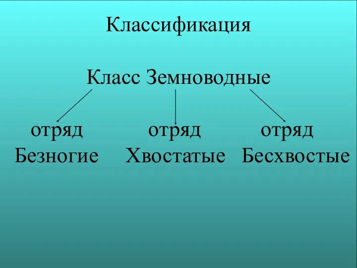 Классификация Класс Земноводные отряд отряд отряд Безногие Хвостатые Бесхвостые