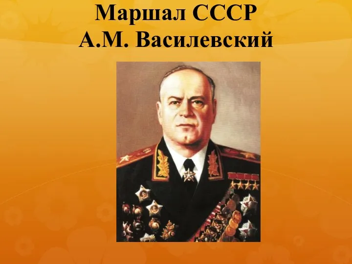 Маршал СССР А.М. Василевский