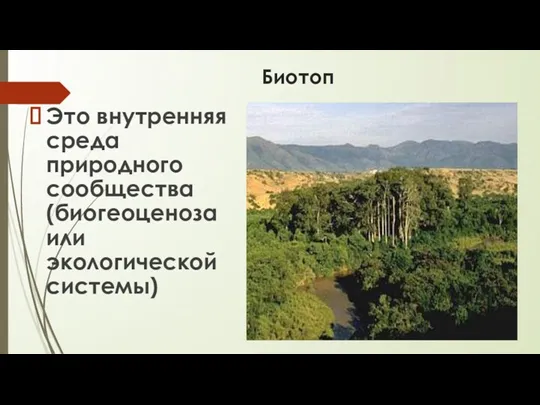 Биотоп Это внутренняя среда природного сообщества (биогеоценоза или экологической системы)