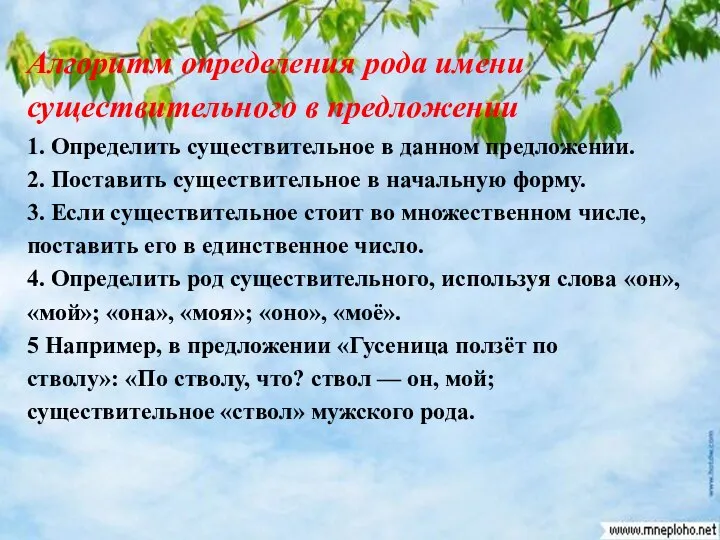 Алгоритм определения рода имени существительного в предложении 1.​ Определить существительное