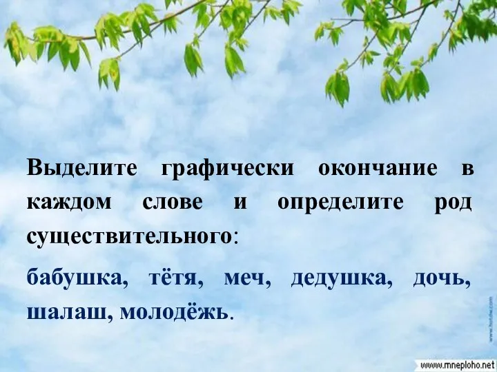 Выделите графически окончание в каждом слове и определите род существительного: