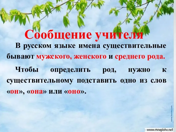 Сообщение учителя В русском языке имена существительные бывают мужского, женского