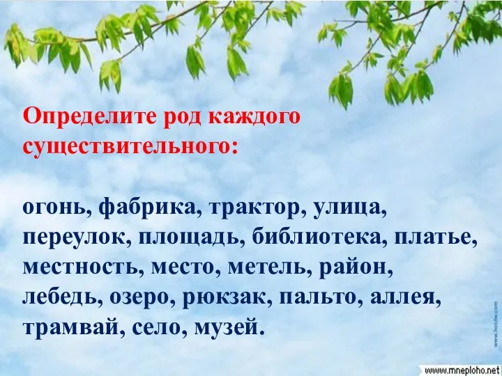 Определите род каждого существительного: огонь, фабрика, трактор, улица, переулок, площадь,