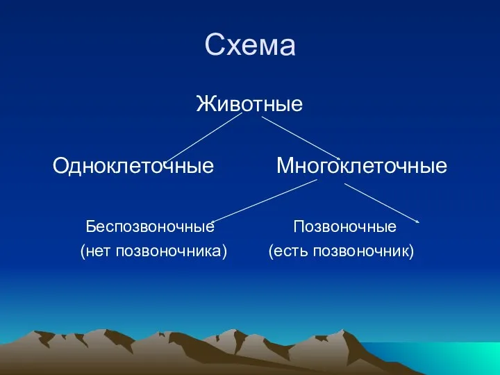 Схема Животные Одноклеточные Многоклеточные Беспозвоночные Позвоночные (нет позвоночника) (есть позвоночник)