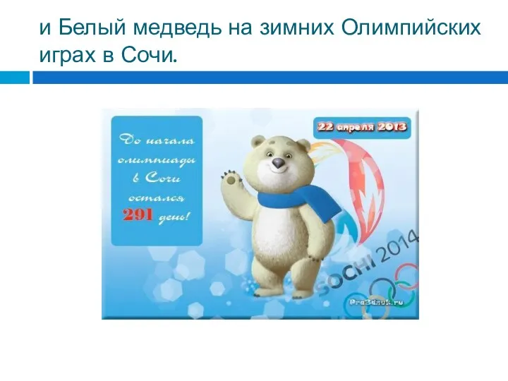 и Белый медведь на зимних Олимпийских играх в Сочи.