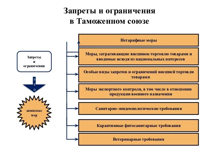 Запреты и ограничения в Таможенном союзе Карантинные фитосанитарные требования Санитарно-эпидемиологические