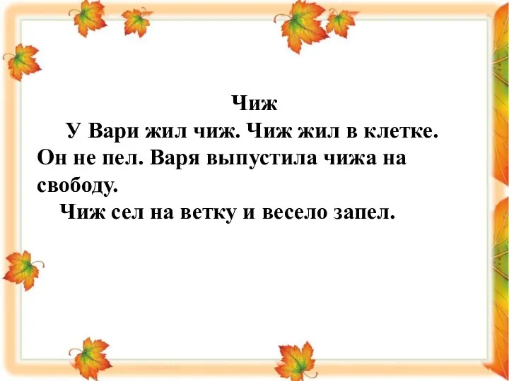 Чиж У Вари жил чиж. Чиж жил в клетке. Он