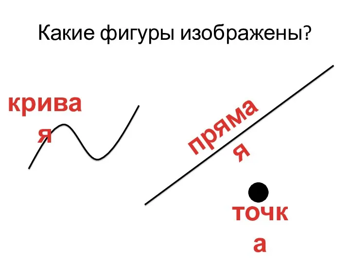 Какие фигуры изображены? кривая прямая точка