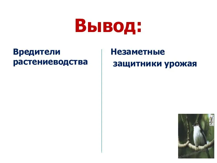 Вывод: