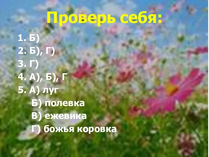 Проверь себя: 1. Б) 2. Б), Г) 3. Г) 4. А), Б), Г