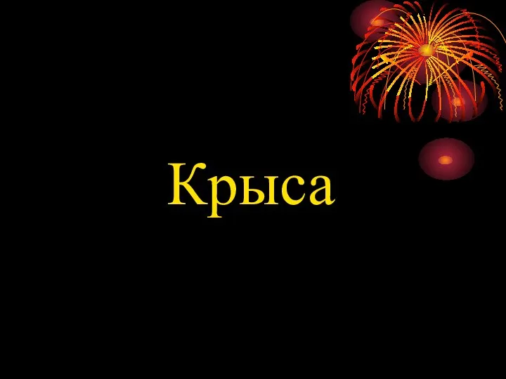 Крыса