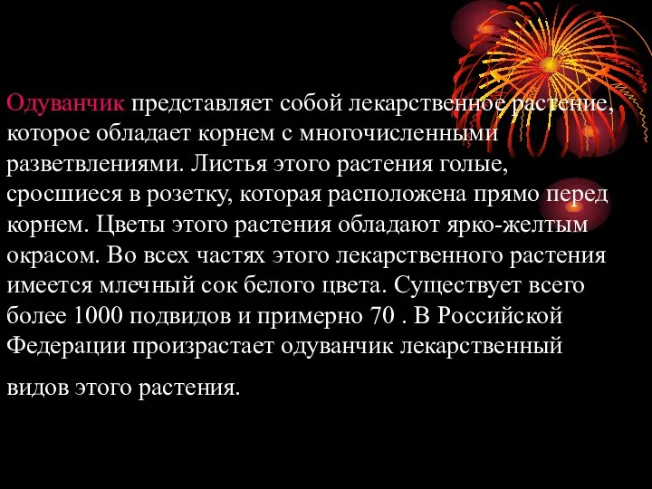 Одуванчик представляет собой лекарственное растение, которое обладает корнем с многочисленными разветвлениями. Листья этого