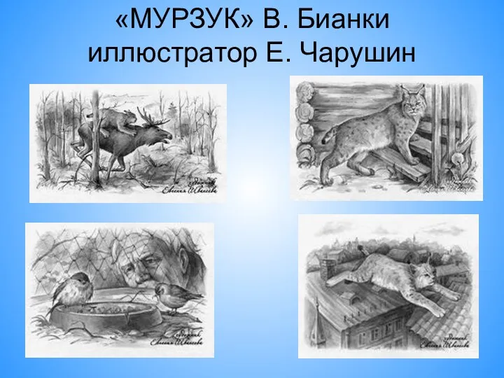 «МУРЗУК» В. Бианки иллюстратор Е. Чарушин