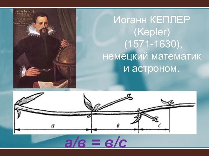 Иоганн КЕПЛЕР (Kepler) (1571-1630), немецкий математик и астроном. а/в = в/с