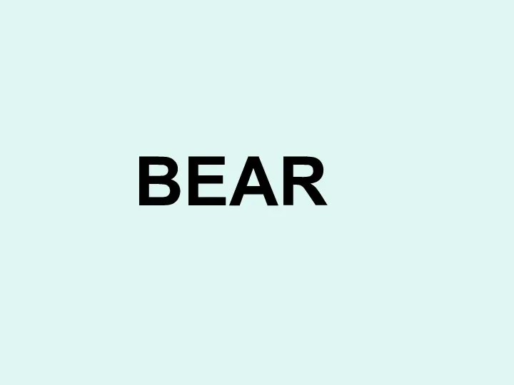 BEAR