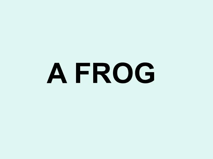 A FROG