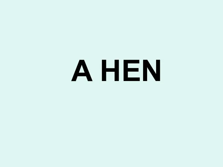 A HEN