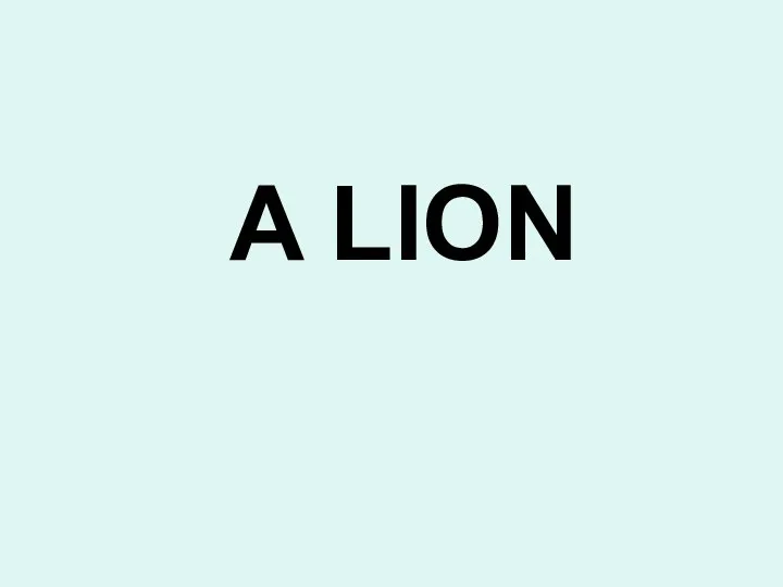 A LION