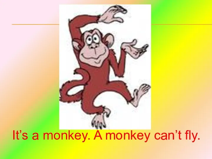 It’s a monkey. A monkey can’t fly.