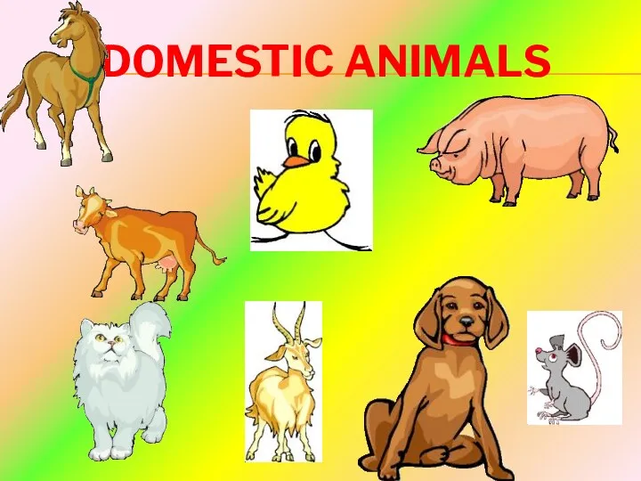 Domestic animals