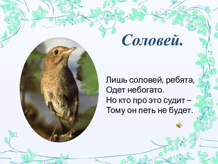 Соловей. Лишь соловей, ребята, Одет небогато. Но кто про это