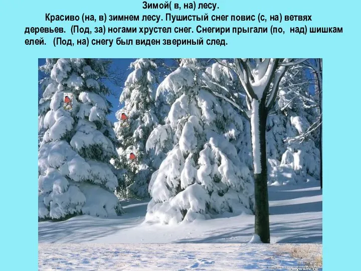 Зимой( в, на) лесу. Красиво (на, в) зимнем лесу. Пушистый снег повис (с,