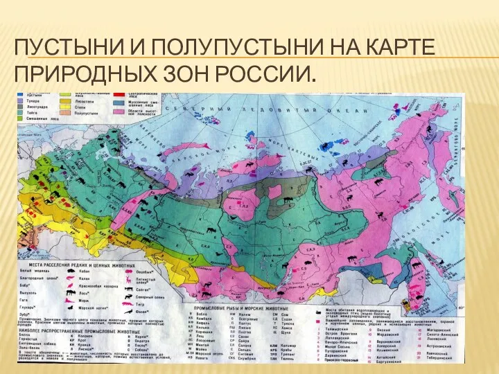Пустыни и полупустыни на карте природных зон России.