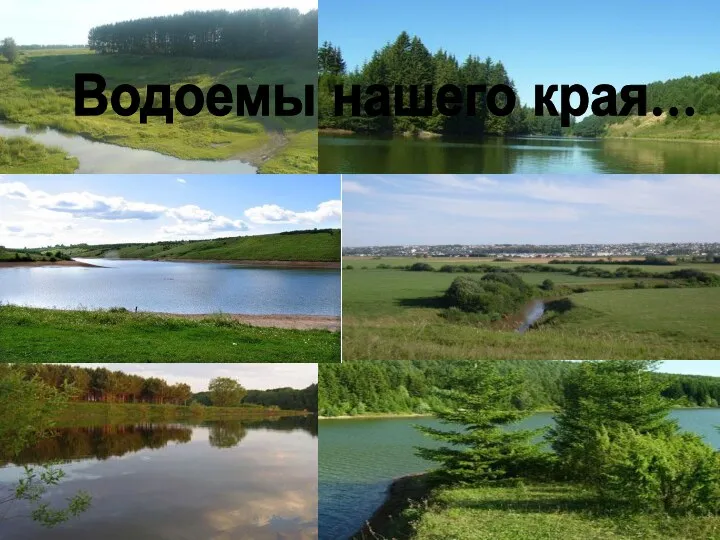 Водоемы нашего края...