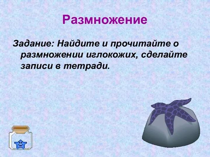 Размножение Задание: Найдите и прочитайте о размножении иглокожих, сделайте записи в тетради.