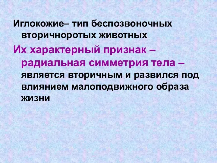 Иглокожие– тип беспозвоночных вторичноротых животных Их характерный признак – радиальная