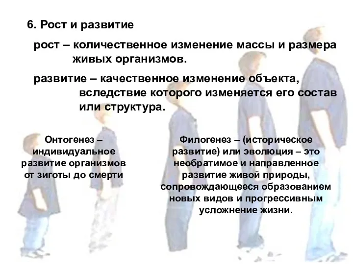 6. Рост и развитие рост – количественное изменение массы и размера живых организмов.