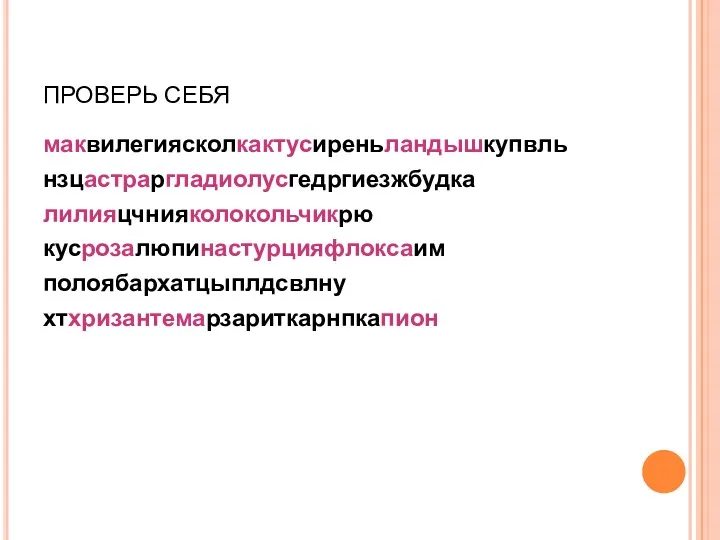 ПРОВЕРЬ СЕБЯ маквилегиясколкактусиреньландышкупвль нзцастраргладиолусгедргиезжбудка лилияцчнияколокольчикрю кусрозалюпинастурцияфлоксаим полоябархатцыплдсвлну хтхризантемарзариткарнпкапион