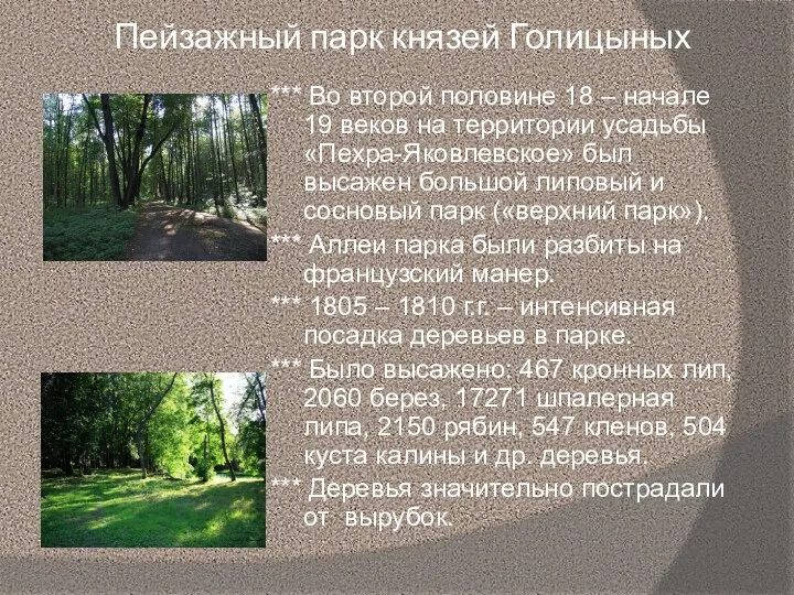 Пейзажный парк князей Голицыных *** Во второй половине 18 – начале 19 веков