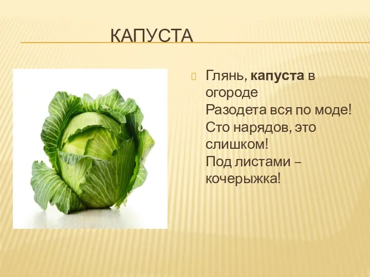 капуста Глянь, капуста в огороде Разодета вся по моде! Сто