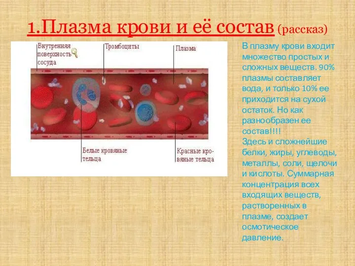 1.Плазма крови и её состав (рассказ) В плазму крови входит