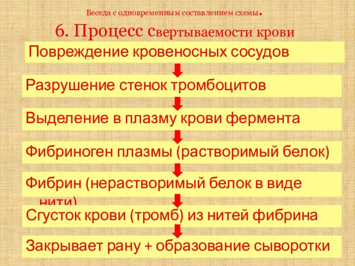 Беседа с одновременным составлением схемы. 6. Процесс свертываемости крови Повреждение