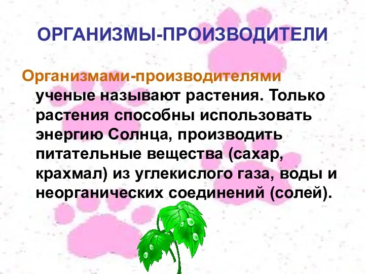 ОРГАНИЗМЫ-ПРОИЗВОДИТЕЛИ Организмами-производителями ученые называют растения. Только растения способны использовать энергию Солнца, производить питательные