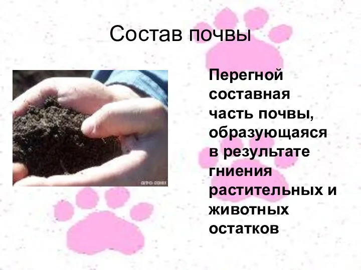 Состав почвы Перегной составная часть почвы, образующаяся в результате гниения растительных и животных остатков