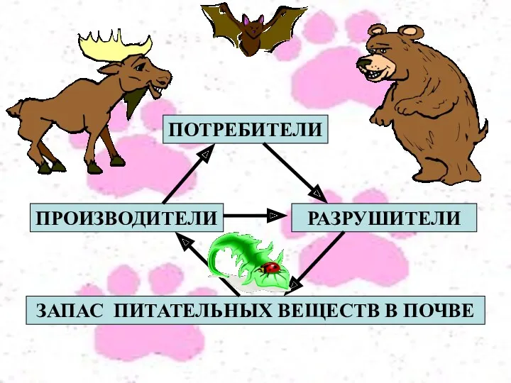 ПОТРЕБИТЕЛИ РАЗРУШИТЕЛИ ПРОИЗВОДИТЕЛИ ЗАПАС ПИТАТЕЛЬНЫХ ВЕЩЕСТВ В ПОЧВЕ