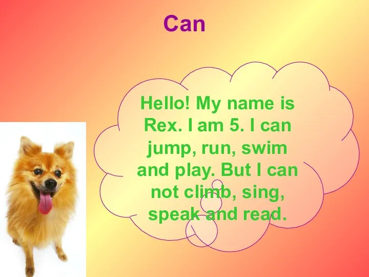 Can Hello! My name is Rex. I am 5. I