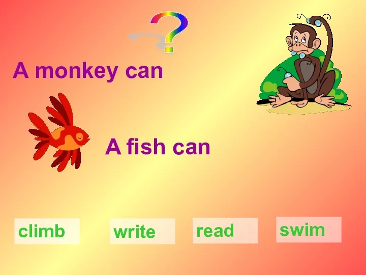 A monkey can A fish can climb write swim read ?