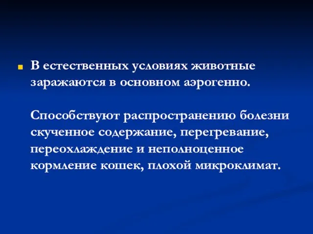 В естественных условиях животные заражаются в основном аэрогенно. Способствуют распространению