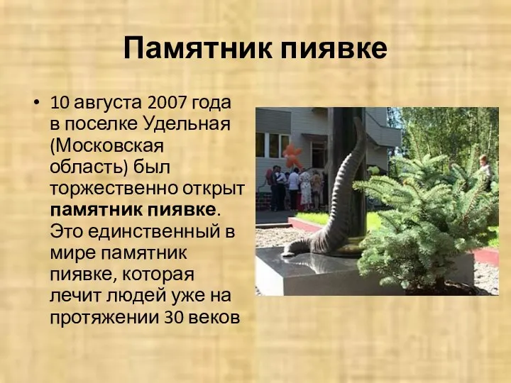 Памятник пиявке 10 августа 2007 года в поселке Удельная (Московская