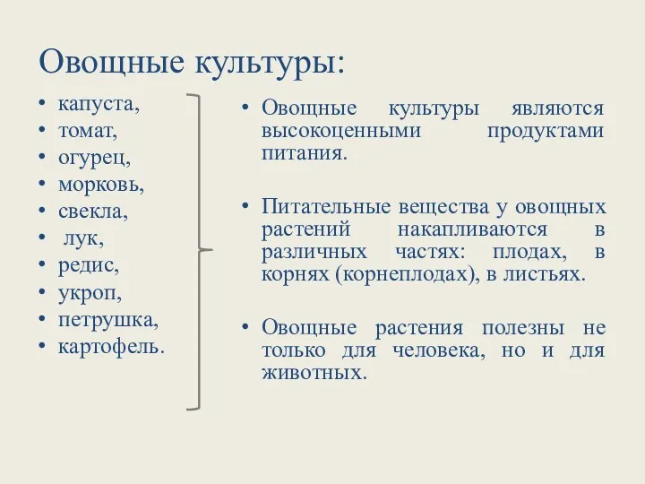 Овощные культуры: капуста, томат, огурец, морковь, свекла, лук, редис, укроп,