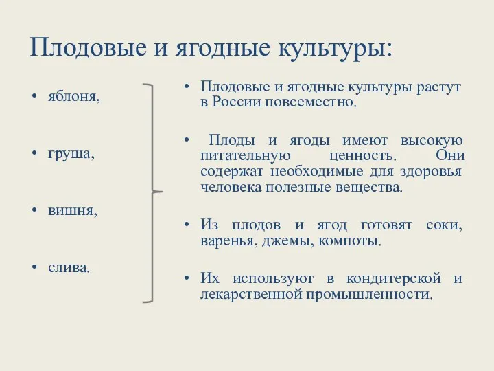 Плодовые и ягодные культуры: яблоня, груша, вишня, слива. Плодовые и