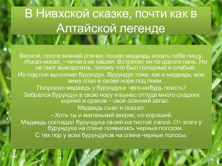 В Нивхской сказке, почти как в Алтайской легенде Весной, после